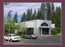 professional building